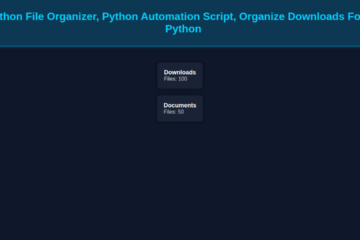 Python File Organizer, Python Automation Script